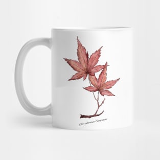 Japanese Maple Mug